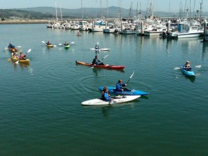 Pillar Point Harbor Tour