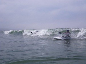 Surf Zone and Wave Dynamics