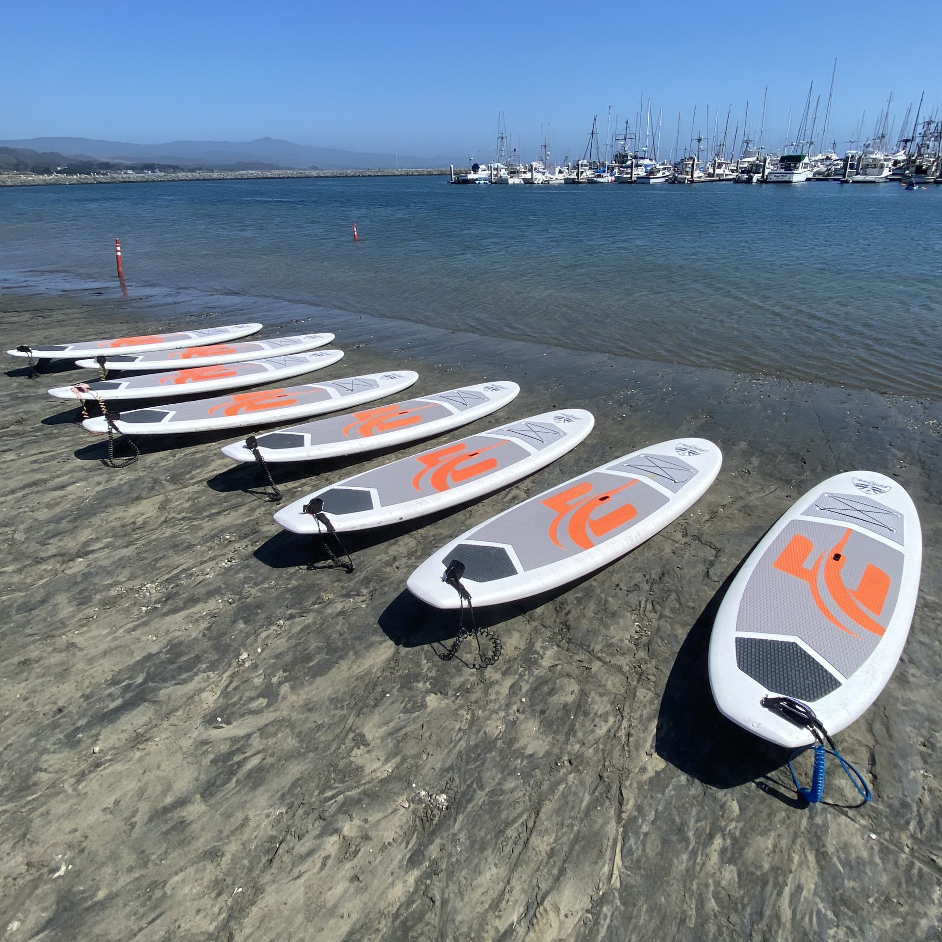 Just down from the beach, there's a place to rent paddle boats